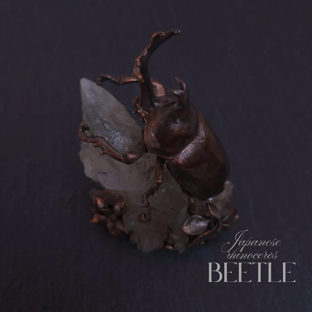 森の結晶ーJapanese rhinoceros beetle